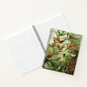 Ernst Haeckel Hummingbird Illustration 8.5X11" Notizbuch (Innenseite)