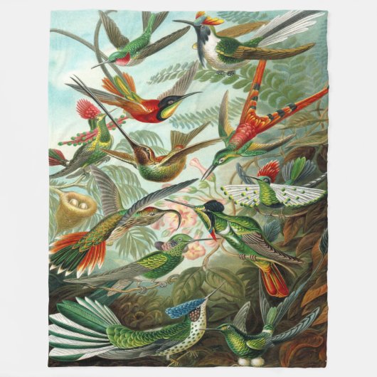 Ernst Haeckel Hummingbirds Fleecedecke (Vorderseite)