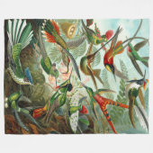 Ernst Haeckel Hummingbirds Fleecedecke (Vorderseite (Horizontal))