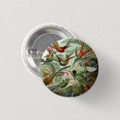 Ernst Haeckel Hummingbirds - Kunstformen der Natur Button (Vorne & Hinten)