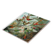 Ernst Haeckel Hummingbirds - Kunstformen der Natur Fliese (Seite)