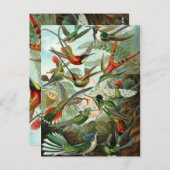 Ernst Haeckel Hummingbirds - Kunstformen der Natur Postkarte (Vorne/Hinten)