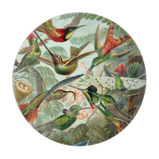 Ernst Haeckel Hummingbirds - Kunstformen der Natur Schneidebrett (Vorderseite)