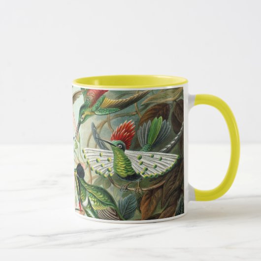 Ernst Haeckel Hummingbirds - Kunstformen der Natur Tasse (Rechts)