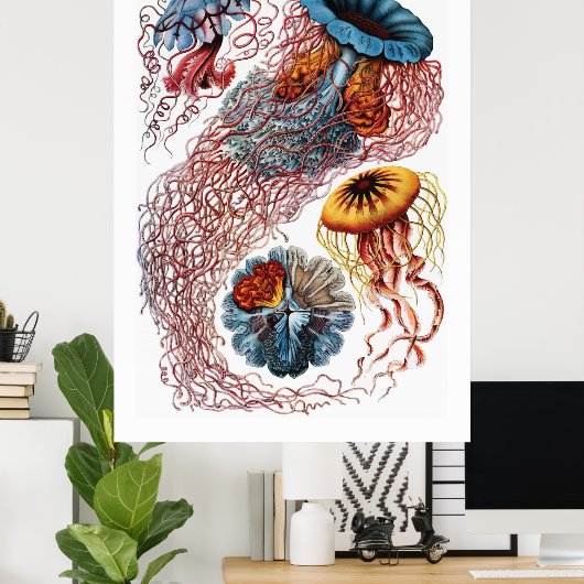 Ernst Haeckel Jellyfish Poster (Heimbüro)