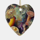 Ernst Haeckel Keramikornament (Rechts)