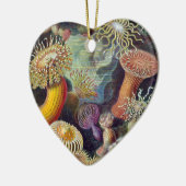 Ernst Haeckel Keramikornament (Links)