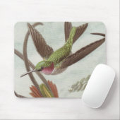 Ernst Haeckel-Kolibri-Mausunterlage Mousepad (Mit Mouse)
