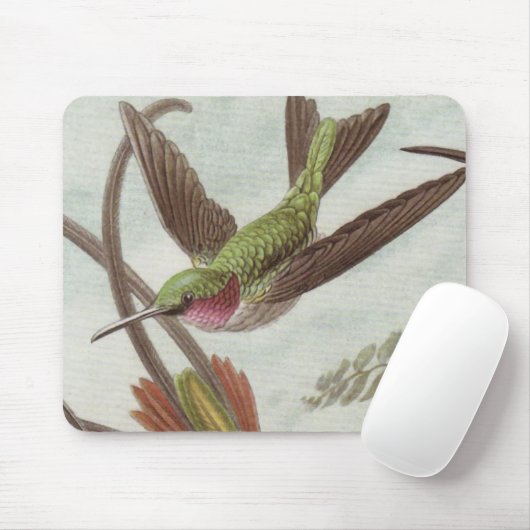 Ernst Haeckel-Kolibri-Mausunterlage Mousepad (Mit Mouse)