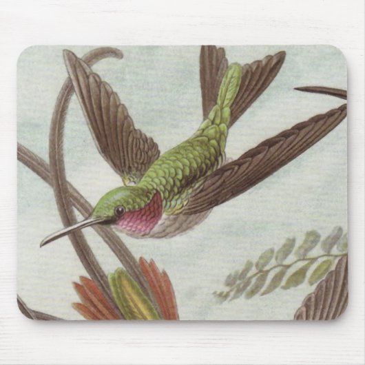 Ernst Haeckel-Kolibri-Mausunterlage Mousepad (Vorne)