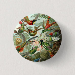 Ernst Haeckel Kolibris - Kunstformen der Natur Button