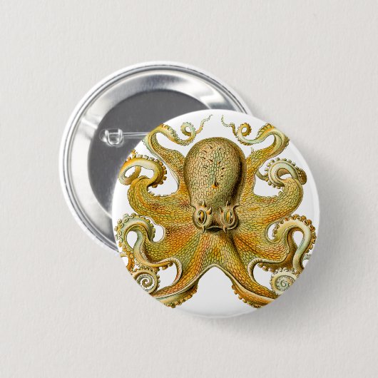 Ernst Haeckel-Krake Button (Vorne & Hinten)