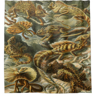 Ernst Haeckel-Kunst-Druck: Lacertilia Duschvorhang
