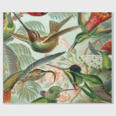 Ernst Haeckel-Kunst-Druck: Trochilidae Geschenkpapier (Flach)