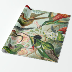 Ernst Haeckel-Kunst-Druck: Trochilidae Geschenkpapier