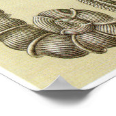 Ernst Haeckel Kunstdruckerei: Thalamophora Poster (Ecke)