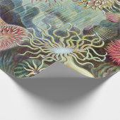 Ernst Haeckel Kunstformen der Natur Actiniae Geschenkpapier (Ecke)