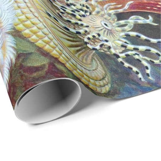 Ernst Haeckel Kunstformen der Natur Actiniae Geschenkpapier (Rolleneckpunkt)