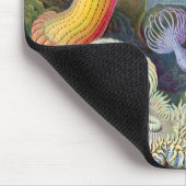 Ernst Haeckel Kunstformen der Natur Actiniae Mousepad (Ecke)
