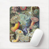 Ernst Haeckel Kunstformen der Natur Actiniae Mousepad (Mit Mouse)