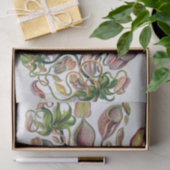 Ernst Haeckel Kunstformen der Natur Nepenthaceae P Seidenpapier (Geschenk)