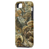 Ernst Haeckel - Lacertilia Case-Mate iPhone Hülle (Rückseite Links)