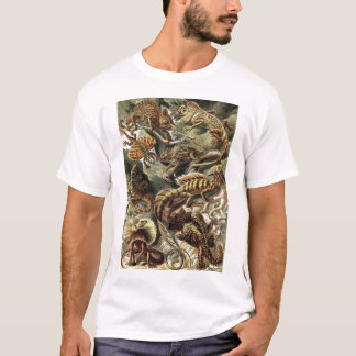 Ernst Haeckel - Lacertilia Eidechsen T-Shirt