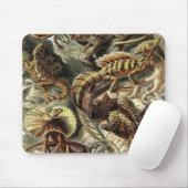 Ernst Haeckel - Lacertilia Mousepad (Mit Mouse)