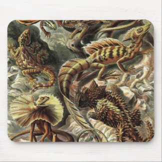 Ernst Haeckel - Lacertilia Mousepad