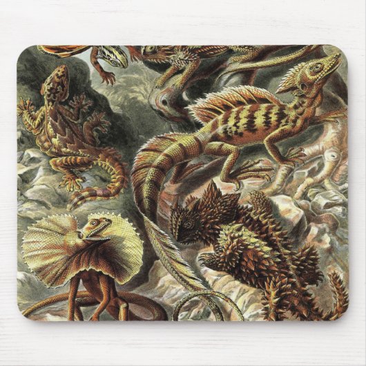 Ernst Haeckel - Lacertilia Mousepad (Vorne)