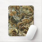 Ernst Haeckel - Lacertilia Mousepad (Mit Mouse)