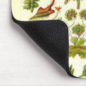 Ernst Haeckel - Leberblümchen Mousepad (Ecke)