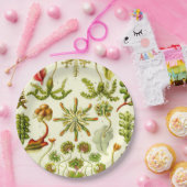 Ernst Haeckel-Leberblümchen Pappteller (Party)