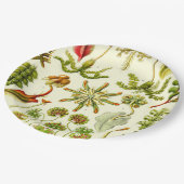 Ernst Haeckel-Leberblümchen Pappteller (Schrägansicht)