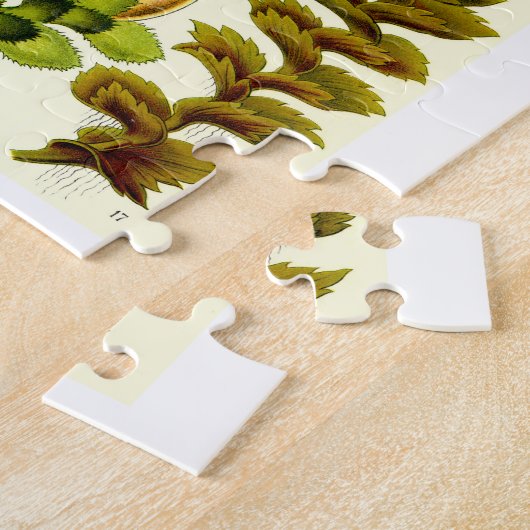 Ernst Haeckel-Leberblümchen Puzzle (Seite)