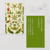 Ernst Haeckel-Leberblümchen Visitenkarte (Vorne/Hinten)