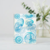 Ernst Haeckel Leptomedusae Postkarte (Stehend Vorderseite)