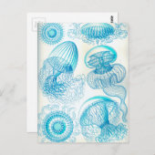 Ernst Haeckel Leptomedusae Postkarte (Vorne/Hinten)