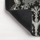 Ernst Haeckel - Lichenes Mousepad (Ecke)