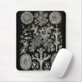Ernst Haeckel - Lichenes Mousepad (Mit Mouse)
