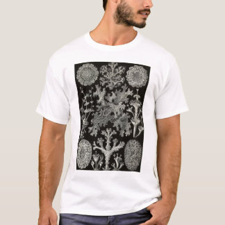 Ernst Haeckel - Lichenes T-Shirt