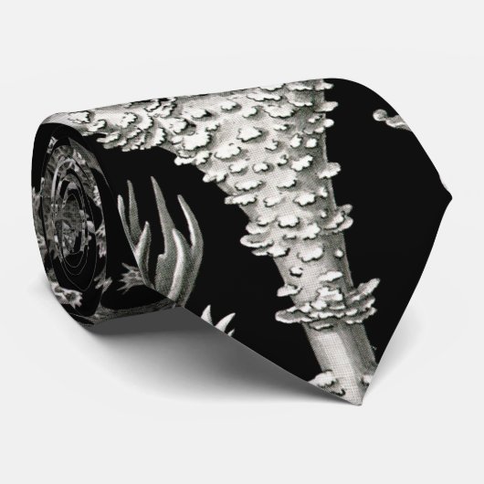 Ernst Haeckel Lichens Krawatte (Gerollt)