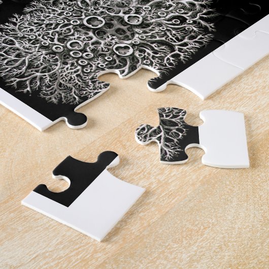 Ernst Haeckel Lichens Puzzle (Seite)