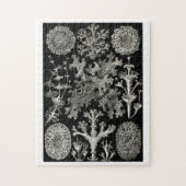 Ernst Haeckel Lichens Puzzle (Vertikal)