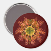 Ernst Haeckel Magnet (Vorderseite/Rückseite)
