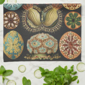 Ernst Haeckel Maritime Meeresleben Kunst Collage Geschirrtuch (Gefaltet)