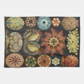 Ernst Haeckel Maritime Meeresleben Kunst Collage Geschirrtuch (Horizontal)