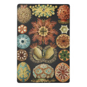 Ernst Haeckel Maritime Meeresleben Kunst Collage Mini Klemmbrett (Rückseite)