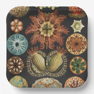 Ernst Haeckel Maritime Meeresleben Kunst Collage Pappteller