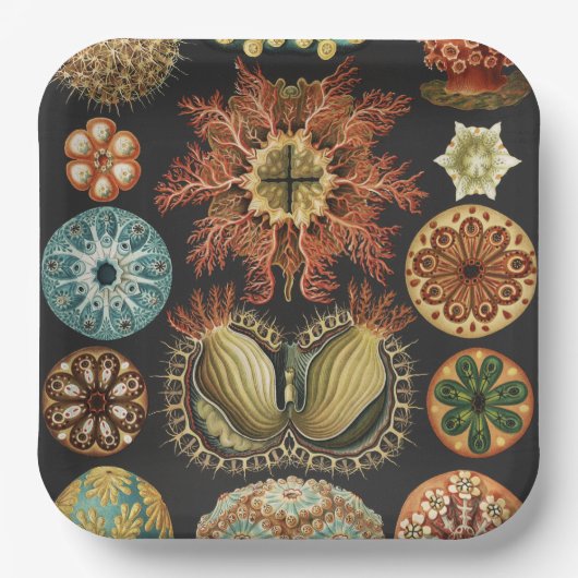 Ernst Haeckel Maritime Meeresleben Kunst Collage Pappteller (Vorderseite)